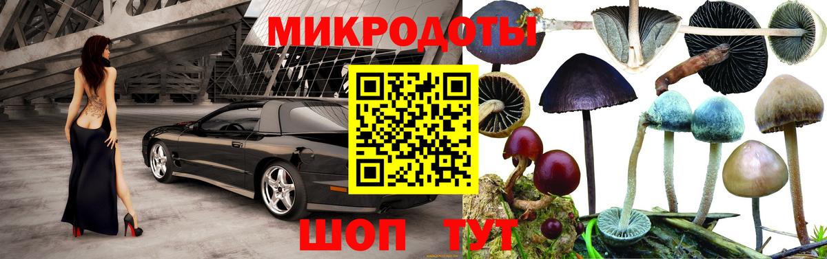 Белогорск  Псилоцибиновые грибы ЛСД  Вход с VPN 